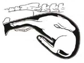 微信圖片_20210709095712