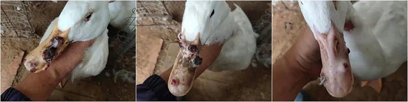 微信圖片_20210515090824