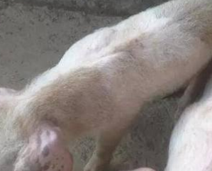 圖片5 圖片5