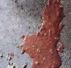 圖片8 圖片8