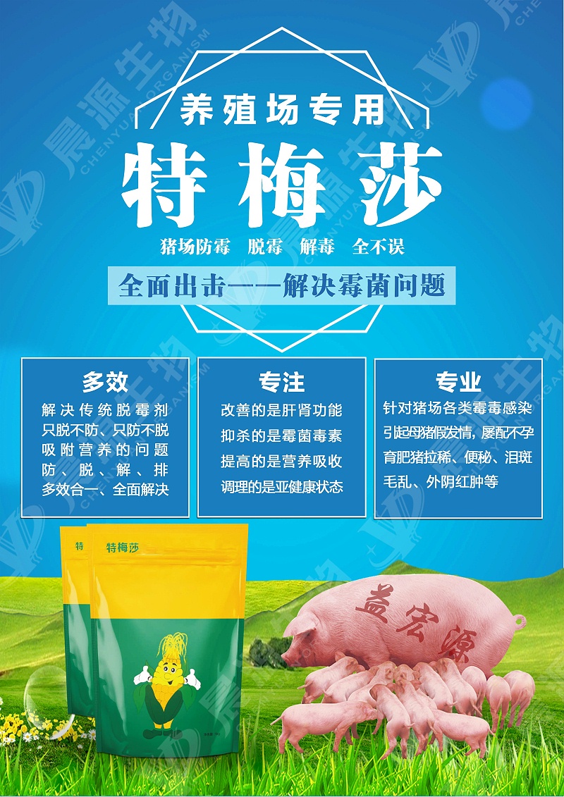 特梅莎 特梅莎