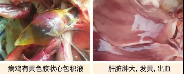 微信圖片_20210706161245