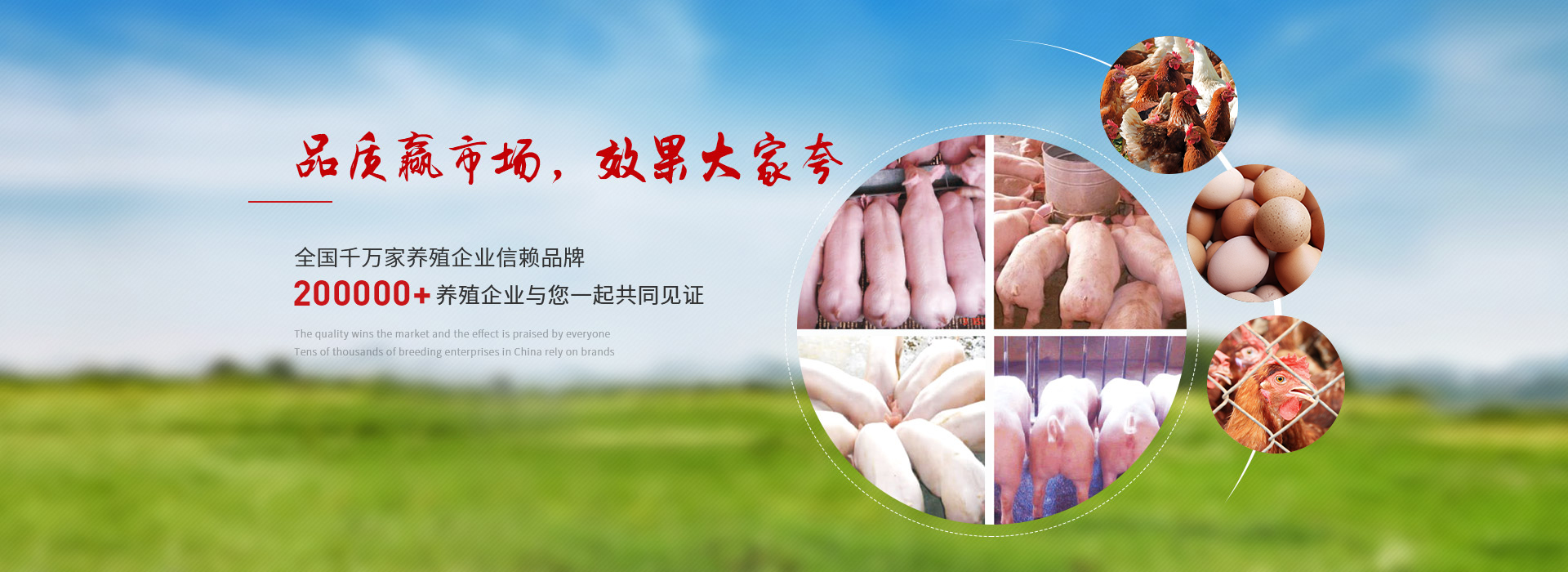 晨源生物 品質(zhì)贏市場(chǎng) 效果大家夸