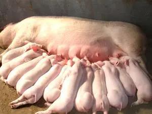 微信圖片_20210507151119