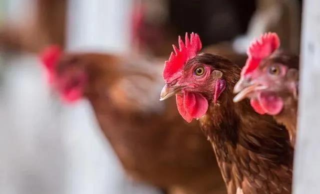 微信圖片_20210507151119