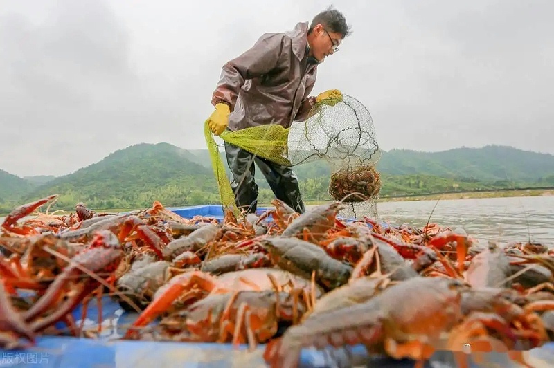 src=http___p5.itc.cn_q_70_images03_20210423_17aa57d0e2d94e9482b48ab8d7121321.jpeg&refer=http___p5.itc.webp src=http___p5.itc.cn_q_70_images03_20210423_17aa57d0e2d94e9482b48ab8d7121321.jpeg&refer=http___p5.itc.webp